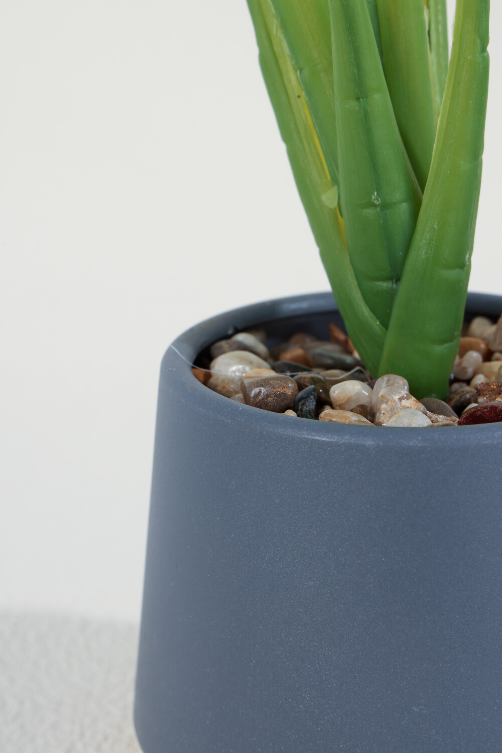 Planta Aglaonema 40cm Color Unico