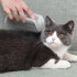 Rascador Masajeador Cepillo Esquinero Gato + Hierba Gatera Variante Color Gris