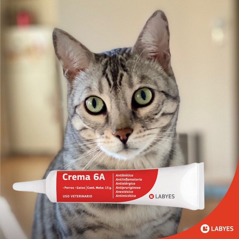 CREMA 6A POMO 15 GRAMOS CREMA 6A POMO 15 GRAMOS
