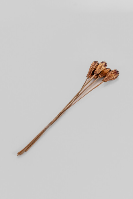Deco Floral Ramo Caoba Natural Color Unico