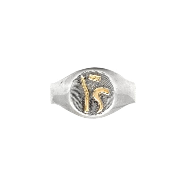 Anillo Profesión Educación Física -Plata y Oro-Sin Piedra-AP5019 sinpiedra