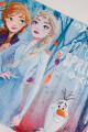 Alfombra de frozen 2 Frozen a