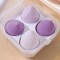 Set de Esponjas de Maquillaje con Estuche Violeta