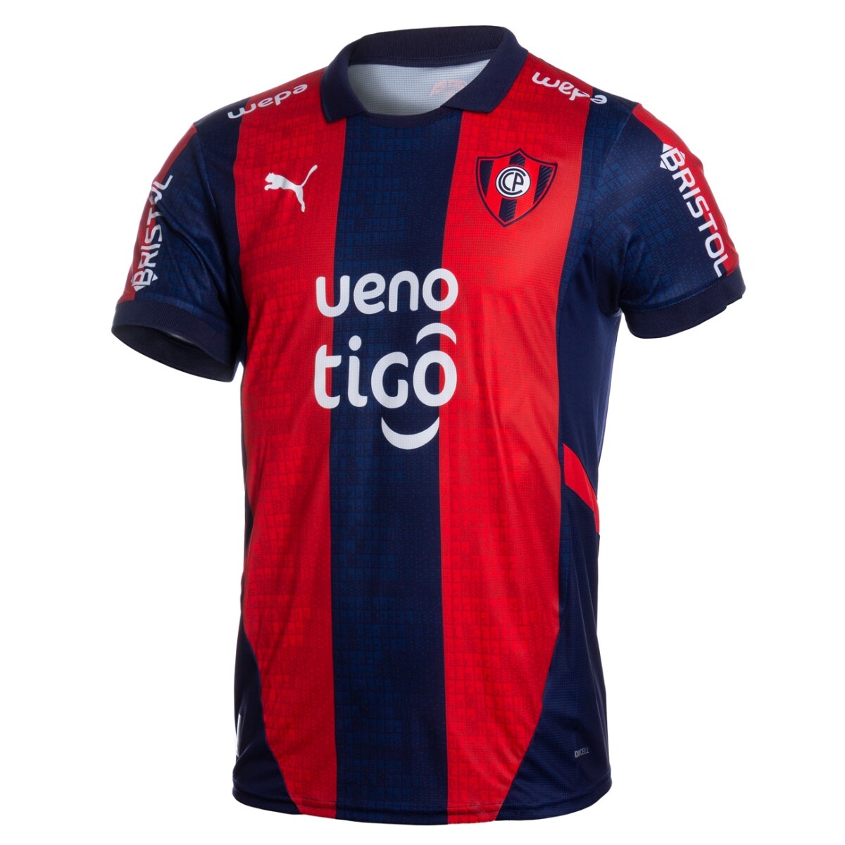 Camiseta Puma Cerro 2025 773407CV01 