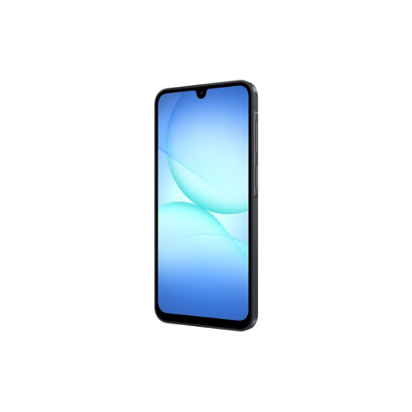 Samsung Galaxy A17 LTE 128 GB Black