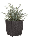 Maceta ISLOM 31x31x32 variado Maceta ISLOM 31x31x32 variado