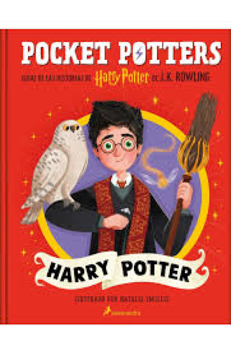 POCKET POTTERS - HARRY POTTER POCKET POTTERS - HARRY POTTER
