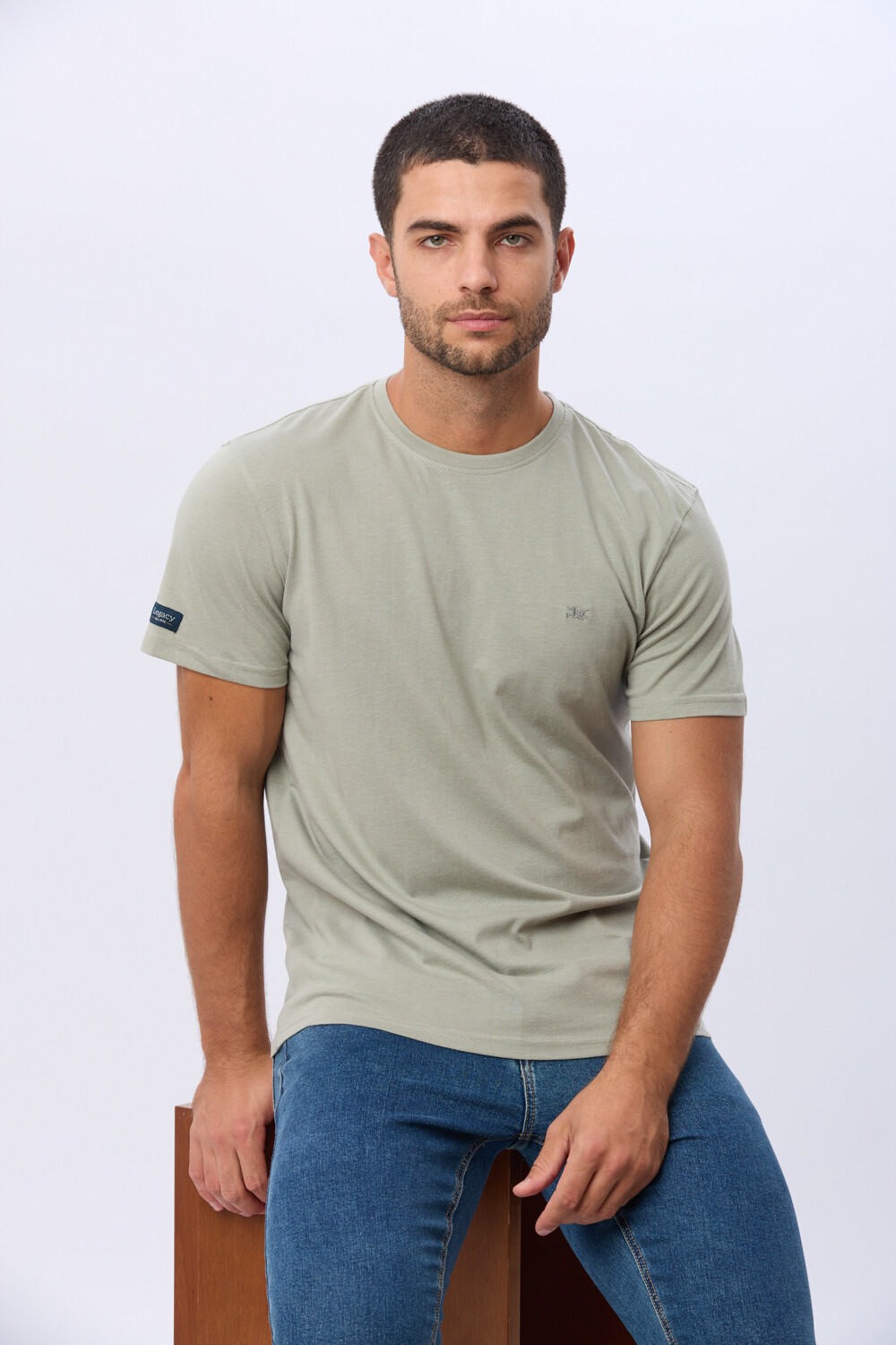 REMERA BÁSICA DE ALGODÓN Pistacho