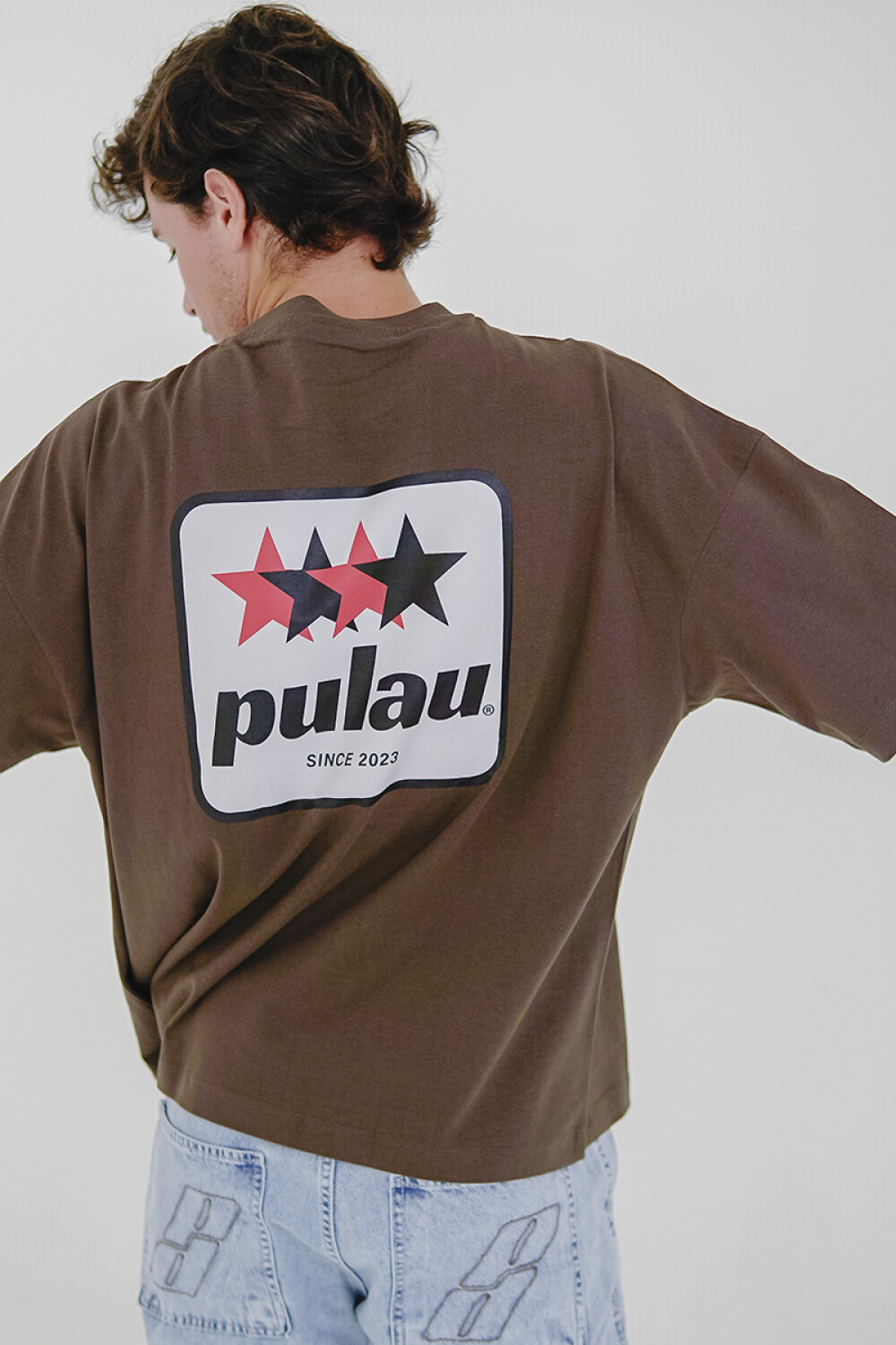 Remera Pulau Tau Marrón