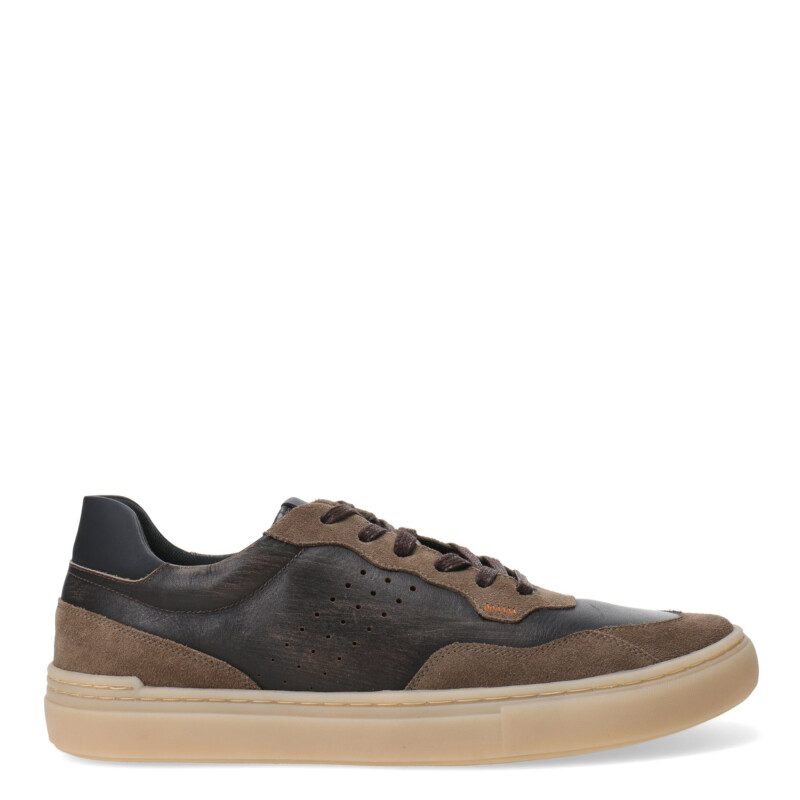 Zapatos de Hombre Lombardino Casual Marrón