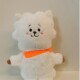 Peluche BT21 Rj