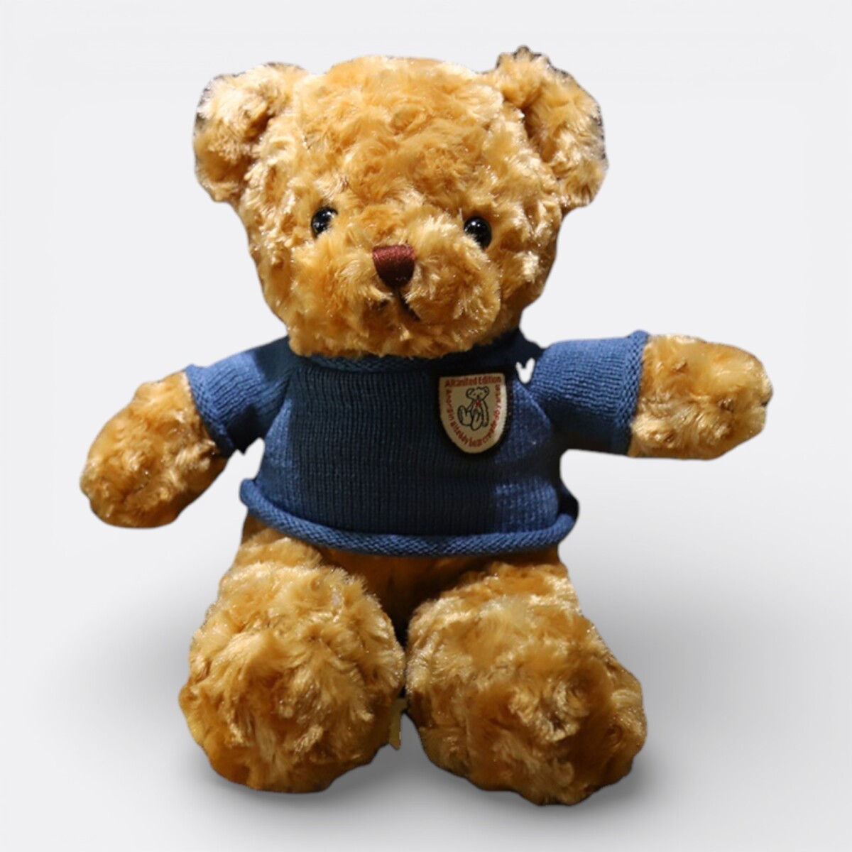 Oso De Peluche Con Buzo - Modelo 3 