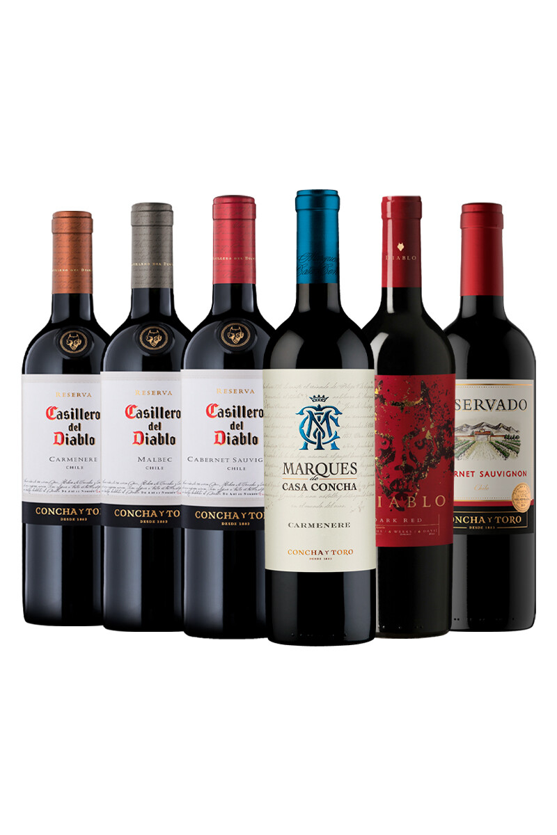 Pack Bacán Selección Vendimia x6 vinos Bodega Concha y Toro 