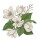 Difusor de fragancia 35ml gardenia