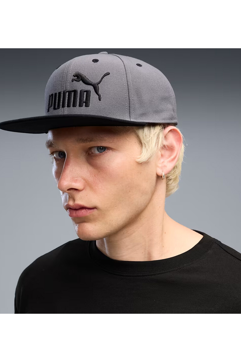 Gorro Puma visera recta Ess Logo N1 Logo Flat 026838 Gris