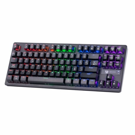Teclado Gamer X-Lizzard Xzz-Te-03 Mecánico Español Con Rgb NEGRO