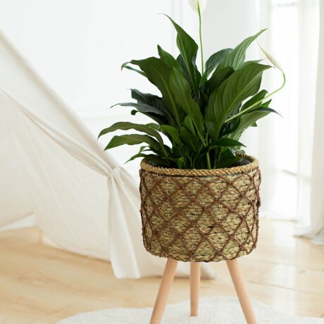 Set de 3 macetas Flora Set de 3 macetas Flora