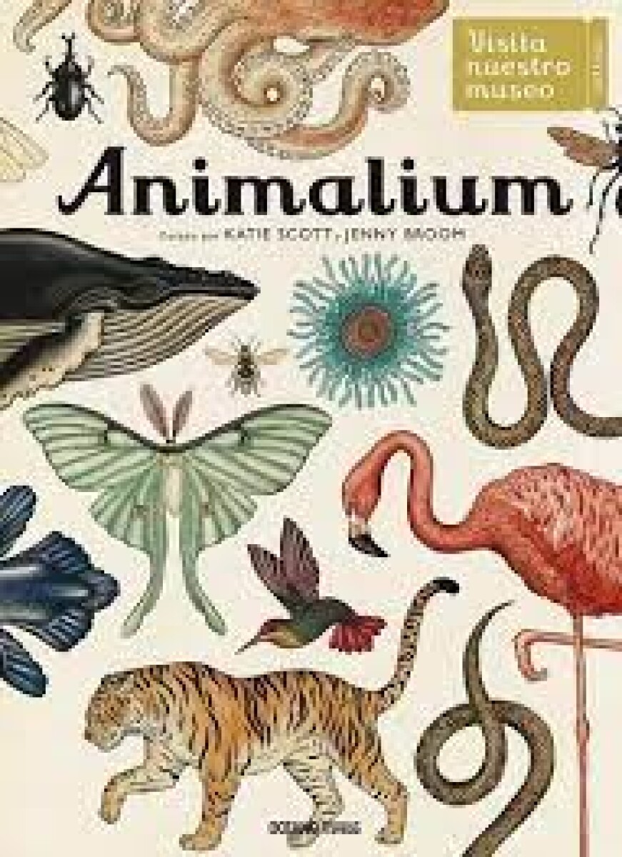 Libro: Animalium 