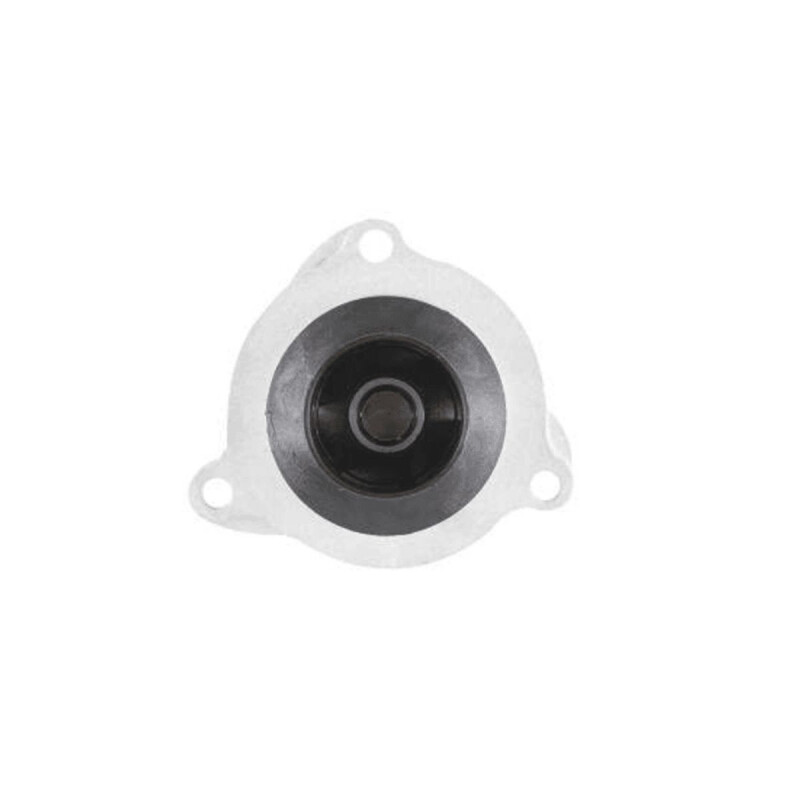 BOMBA DE AGUA FORD ECOSPORT ZETEC Bomba De Agua Ford Ecosport Zetec