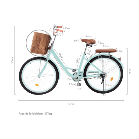 Bicicleta Urbana Rodado 26 con Canasto Vintage Verde
