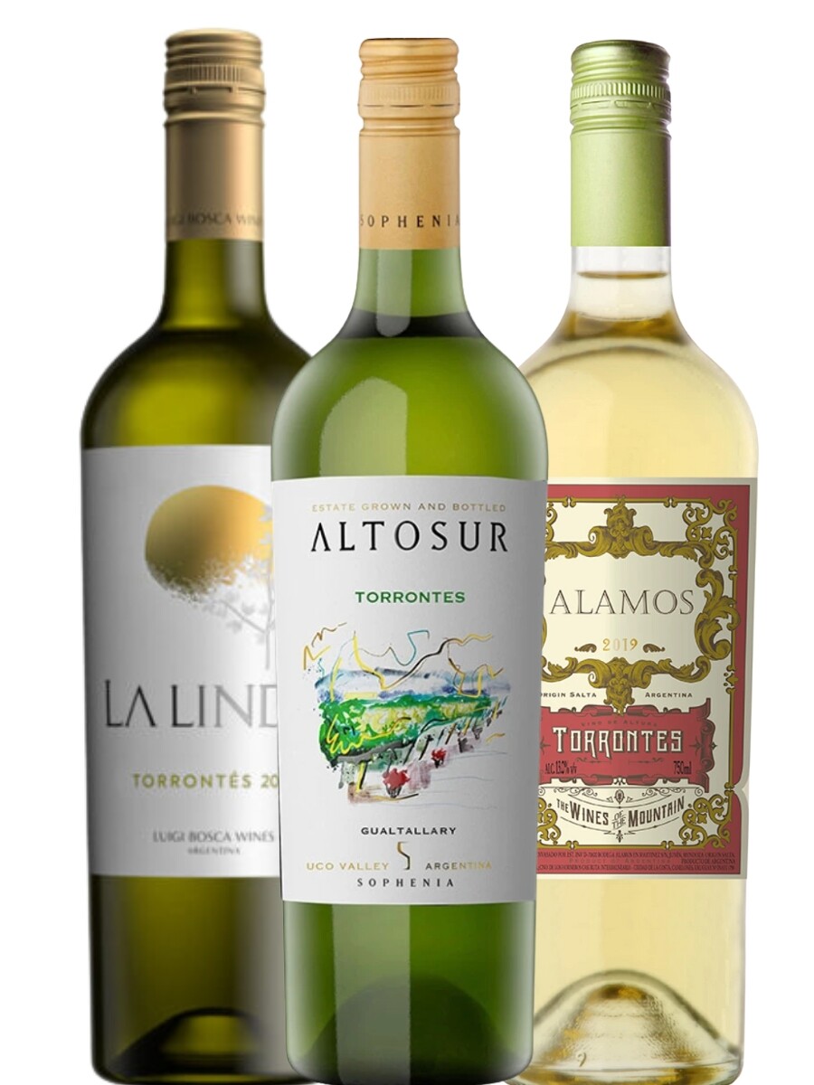 Pack Torrontes Ar 