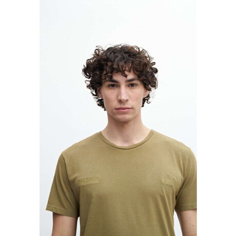 Remera Abdul Pistacho