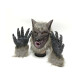 Disfraz De Lobo Disfraz De Lobo