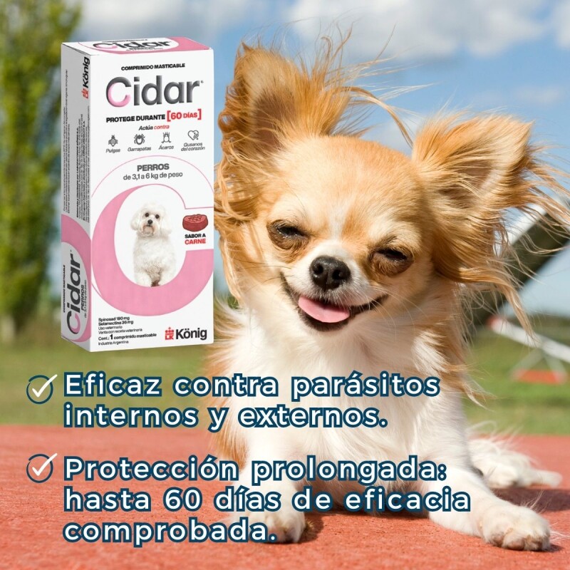 CIDAR PERROS PASTILLA ANTIPULGAS Y ANTIGARRAPATAS KONIG 3.1 A 6 KG