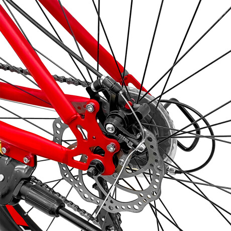 Bicicleta Montaña Expert Renegade Hombre Rod 26 Frenos Disco 21cambio Rojo