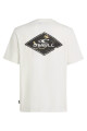 Remera O'Neill Global Triangle Blanca Remera O'Neill Global Triangle Blanca