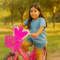 Bicicleta Butterfly rodado 20 Fucsia