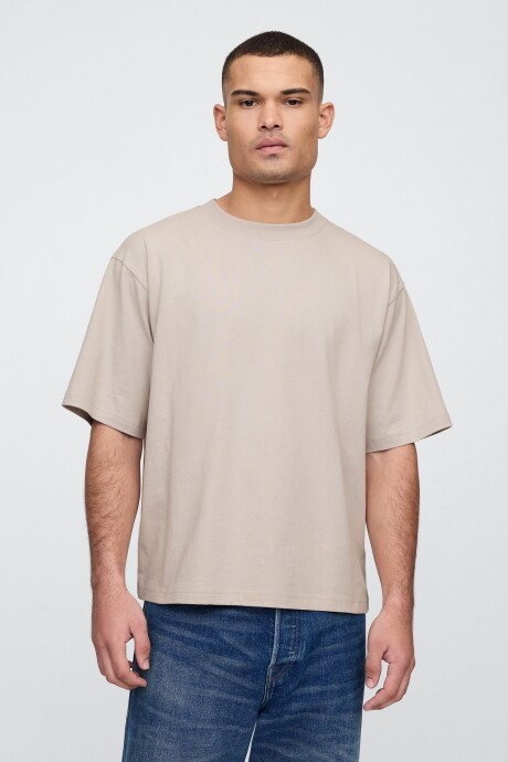 Remera Vintage Soft Hombre Frosty Morning