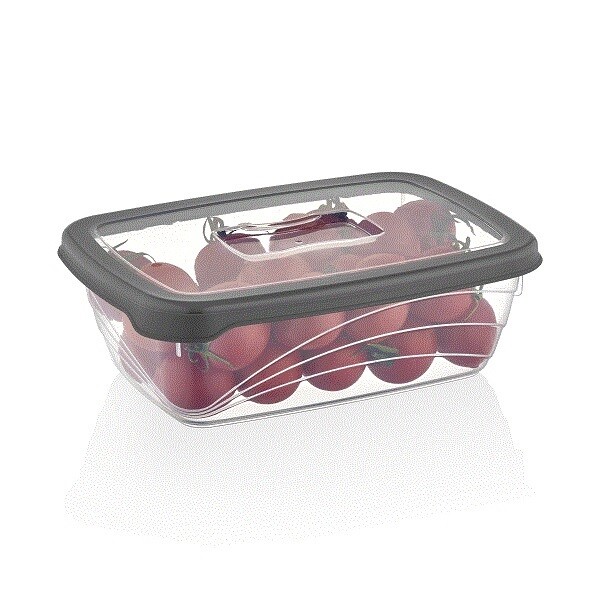 Vianda Bio 1.2 L 20x14.5x6.5 cm QLUX IDEAS Vianda Bio 1.2 L 20x14.5x6.5 cm QLUX IDEAS