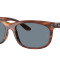 Rayban 2389 Havana Claro