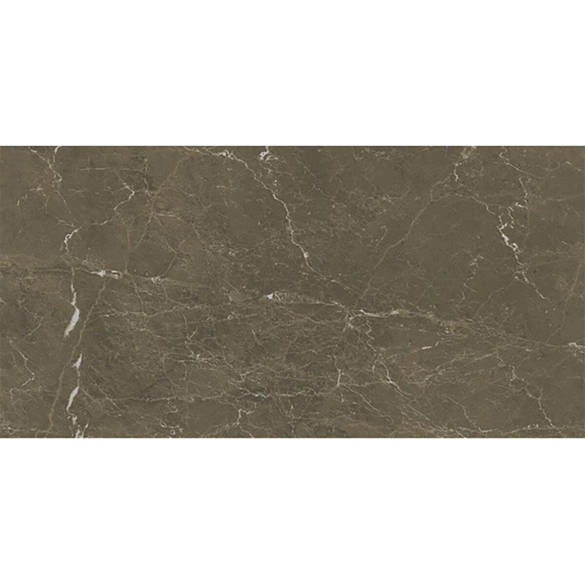 Porcelanato Im Coffee Brown Mat 60x120 Cm 