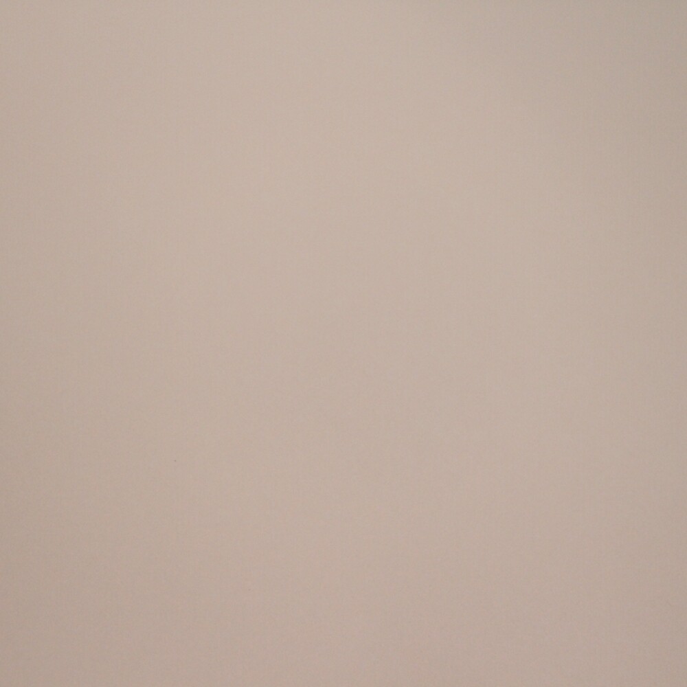 CARTULINA ESPAÑOLA COLOR 50X65 CM COLOR ROMA