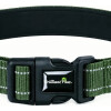 Collar Para Mascotas Talle M Refractario VERDE