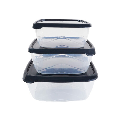 Recipiente x3 de plastico con tapa Recipiente x3 de plastico con tapa