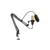 MICROFONO CON CONDEN BRAZO Y ACC AV052 MICROFONO CON CONDEN BRAZO Y ACC AV052