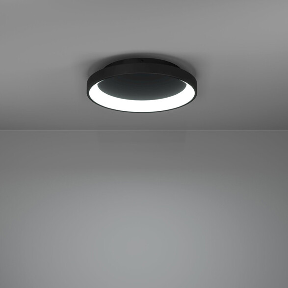 Plafón negro LED 12W blanco dinámico LORETELLO EG1224