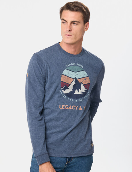 REMERA ESTAMPADA Azul