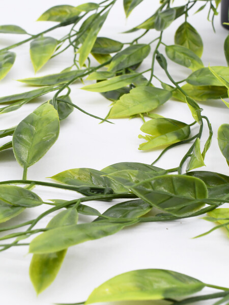 PLANTA COLGANDE CON MACETA VERDE