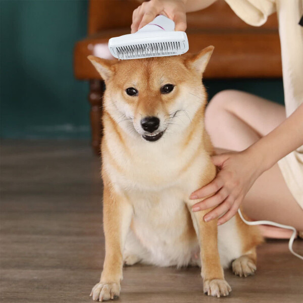 Cepillo Secador De Pelo Perro Gato Mascotas Peine 300w Color Variante Dorado