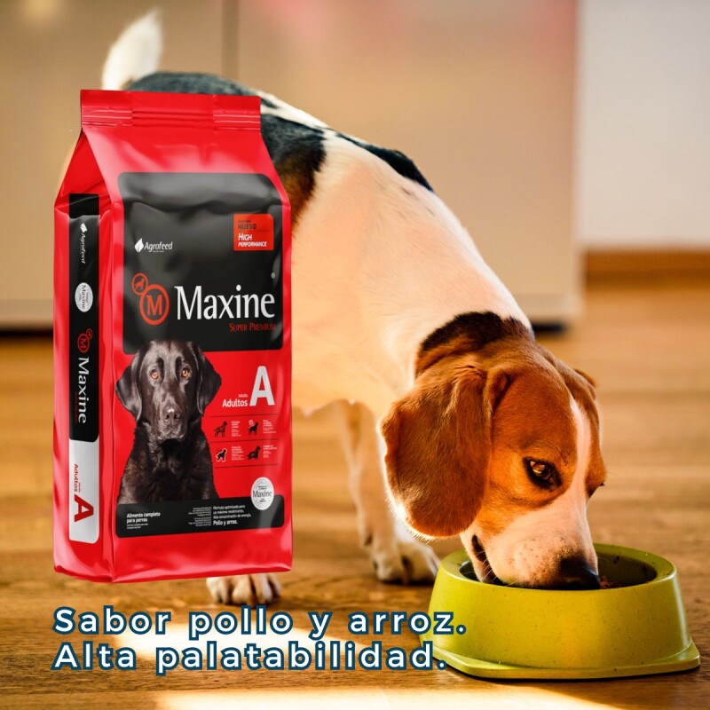 MAXINE PERROS ADULTOS 7,5 KG + PALA PERRITO DE SERVIR DE REGALO