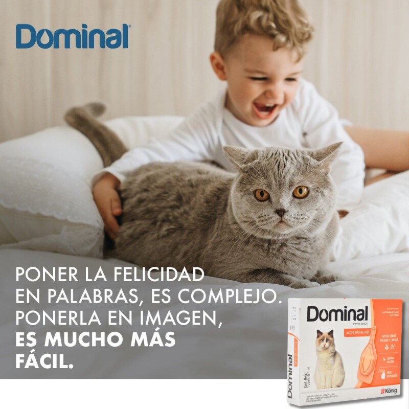 PIPETA ANTIPULGAS Y ANTIGARRAPATAS DOMINAL GATOS KONIG MÁS DE 4 KG
