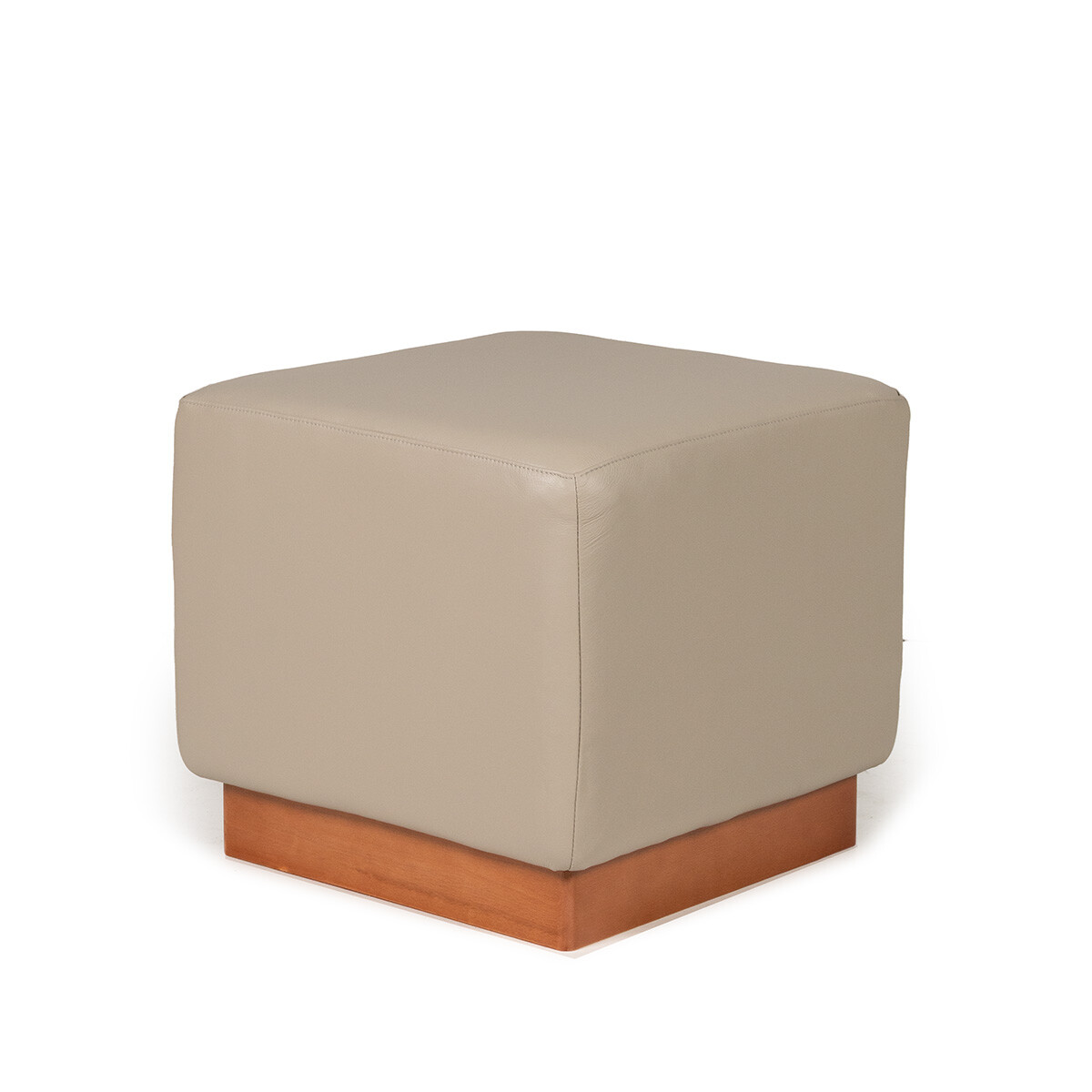Puff Beta - Cuero Natural - 1011 (Granizo) 