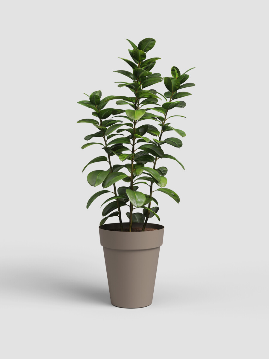 MACETA ALTA CAPRI HIGH POT 46 TAUPE