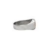 Anillo Profesión Auxiliar de Servicio-Plata y Oro-Sin Piedra-AP5023 sinpiedra