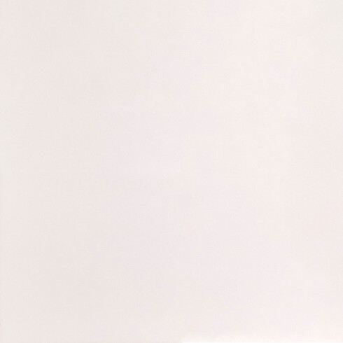 Porcelanato Blanco Escovado Rectificado 60X60Cm Piso Pared GAMAS DE BLANCO