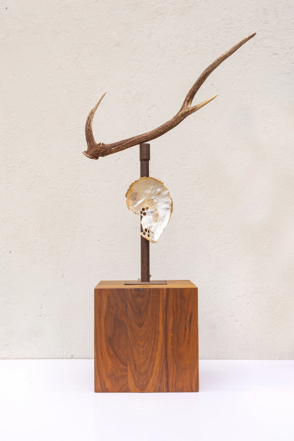 Nácar Lamp